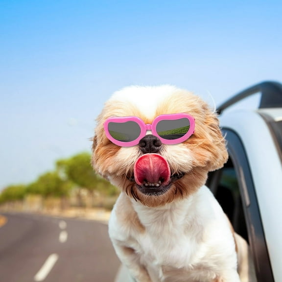 NAMSAN Small Dog Goggles UV Protection Doggy Sunglasses Windproof Small Pet Glasses for Puppy Big Cat Eye Protective
