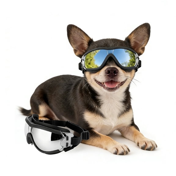 NAMSAN Small Dog Goggles UV Protection Puppy Sunglasses with Adjustable Straps, Black S