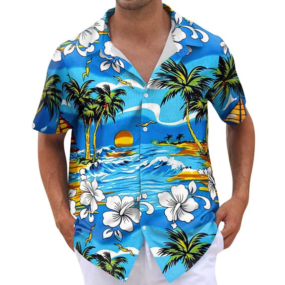 NAMTYQX Going Out Tops Plus Size Short Sleeve V Neck Button Front Hawaiian Printed Lightweight Casual T Shirts for Man Sky Blue Size L