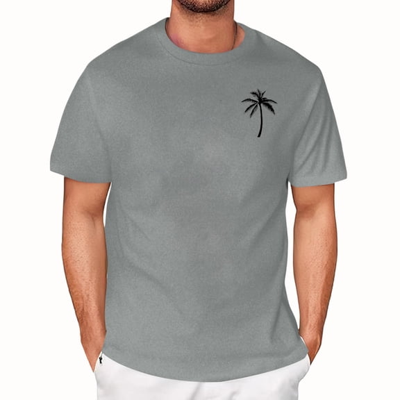 NAMTYQX Mens Graphic T-Shirts Lightweight Plus Size Short Sleeve Soft Casual Airoft Loose Fit Crewneck Hawaiian Patterns Mens T Shirts Gray Size S