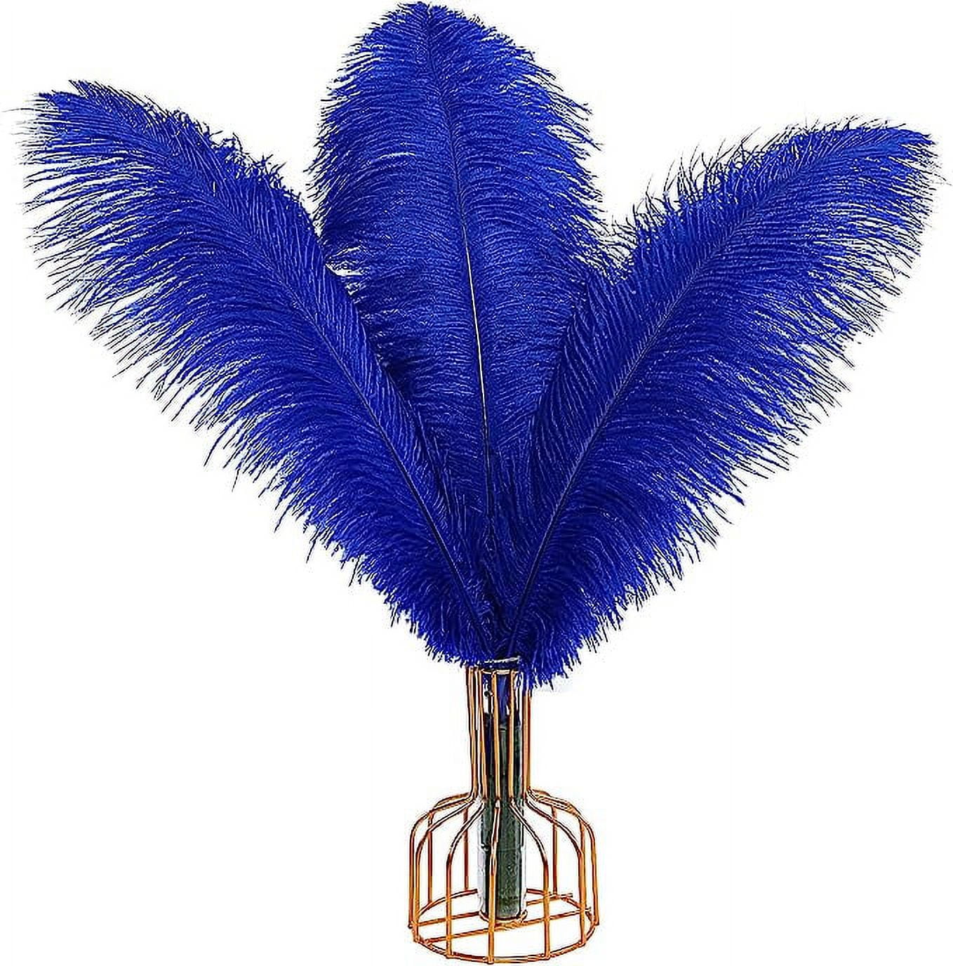 NAMZI 12pcs Blue Bulk Natural Ostrich Feathers 16-18Inch (40cm-45cm), Perfect for Wedding, Party Centerpieces, Easter & Home Decoration