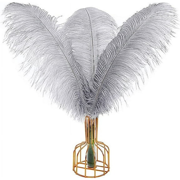 NAMZI 12pcs Gray Bulk Natural Ostrich Feathers 16-18Inch (40cm-45cm), Perfect for Wedding, Party Centerpieces, Easter & Home Decoration