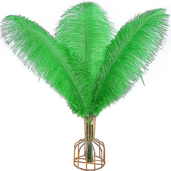 NAMZI 12pcs Green Bulk Natural Ostrich Feathers 16-18Inch (40cm-45cm), Perfect for Wedding, Party Centerpieces, Easter & Home Decoration