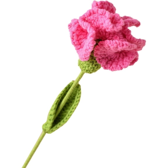 NAMZI Mother Day Carnations Flower Gift Preserved Eternal Blue Handmade Carnations Gifts for Women Girl Forever Artificial Fake Flower Bouquets Mothers Day Mom Gifts （Dark Pink）