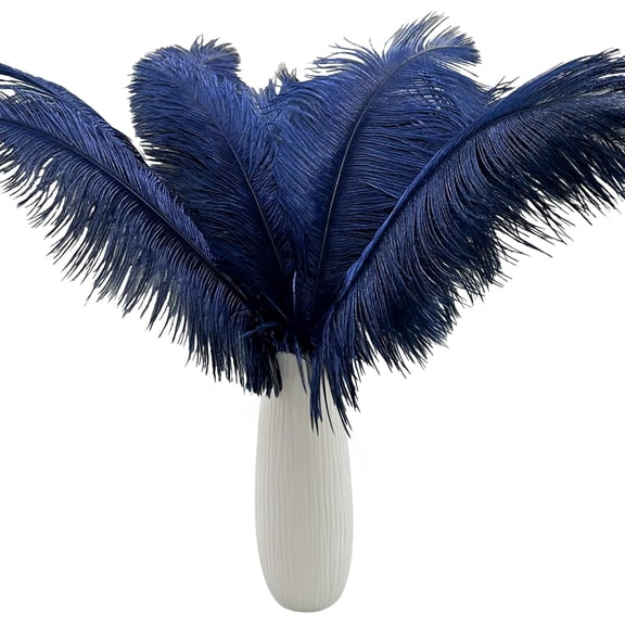 NANAHuang 10pcs Large Black Ostrich Feathers 16-18 inch Fluffy Feather for Crafts Home Party Decoration Wedding Centerpieces Clothes Vase Decor