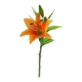 thumbnail image 1 of NANDIYNZHI 3 Heads Artificial Lily Flowers,Long Stem Faux Flowers with Buds, Lily Artificial Flowers for Home Hotel Flower Arrangement Party Decor, 1 of 1