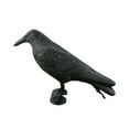 thumbnail image 1 of NANDIYNZHI Garden Decor Garden Tools Tool Plastic Decoration Garden Crow Bird Simulation Hunting Jewelry Scary Patio & Garden Resin 15.75*4.72*4.72 Inch (Clearance)Insect Traps, 1 of 4