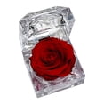 thumbnail image 1 of NANDIYNZHI Preserved Real Rose Flower in Clear Box Scented Eternal Forever Present for Women Gifts Mother's Day Valentine Romantic Wedding Home Party Festivals Anniversary Eve, 1 of 2