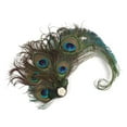 thumbnail image 1 of NANMELX Peacocks Hair Clip Barrettes Peacocks Hair Pin, 1 of 7