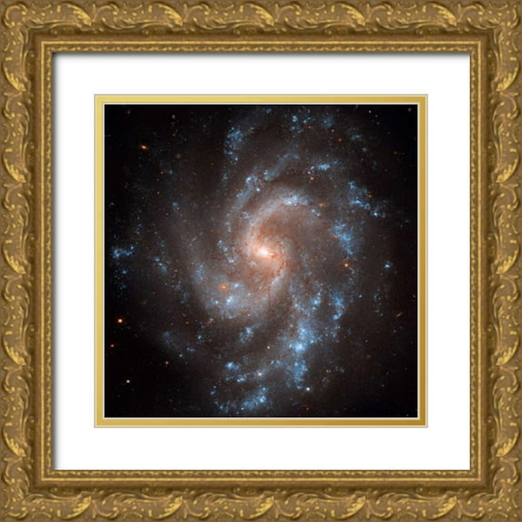 NASA 26x26 Gold Ornate Wood Framed with Double Matting Museum Art Print Titled - NGC 5584