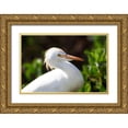 thumbnail image 1 of NASA 32x23 Gold Ornate Wood Framed with Double Matting Museum Art Print Titled - Snowy Egret, 1 of 4