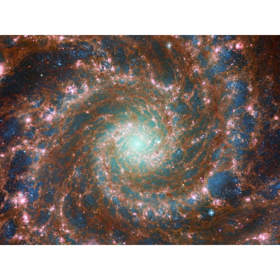 NASA James Webb Hubble Space Telescope The Phantom Galaxy Across the Spectrum Extra Large XL Wall Art Poster Print