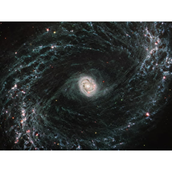 NASA James Webb Telescope NGC 1433 Intricate Network Gas Dust Galaxies Extra Large XL Wall Art Poster Print