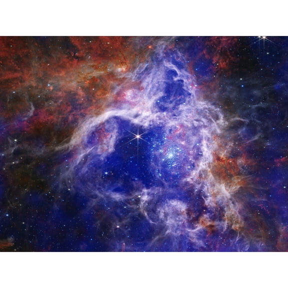 NASA James Webb Telescope The Enduring Stellar Lifecycle in 30 Doradus Extra Large XL Wall Art Poster Print