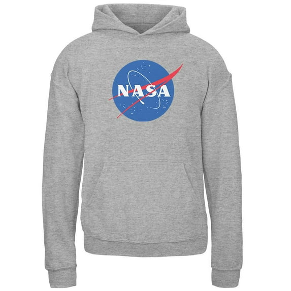 NASA Logo Youth Hoodie Sport Grey YMD