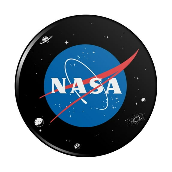 NASA Official Meatball Logo Pinback Button Pin
