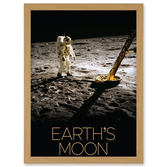 NASA Our Solar System Moon Apollo 11 Lunar Module Buzz Aldrin Artwork Framed Wall Art Print A4