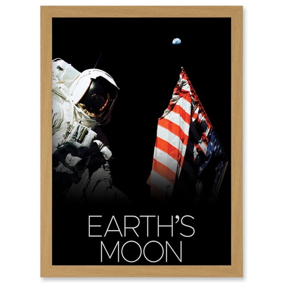 NASA Our Solar System Moon Apollo 17 Moonwalk American Flag Artwork Framed Wall Art Print A4