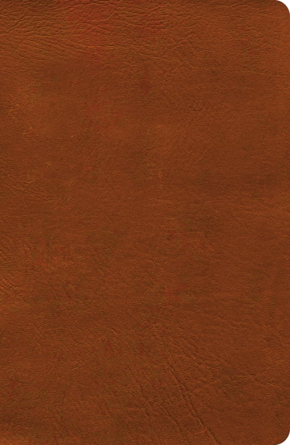 NASB Verse-By-Verse Reference Bible, Burnt Sienna Leathertouch, (Hardcover)
