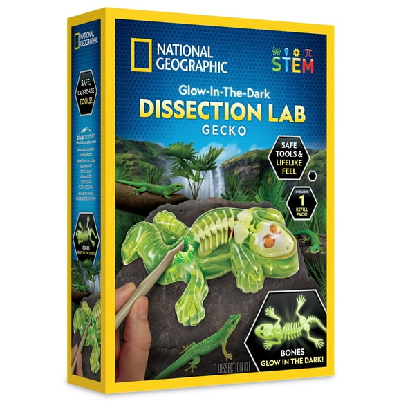 NATIONAL GEOGRAPHIC Gecko Dissection Kit Anatomy Lab - Complete Glow in the Dark Synthetic Gecko Dissecting Science Kit for Kids