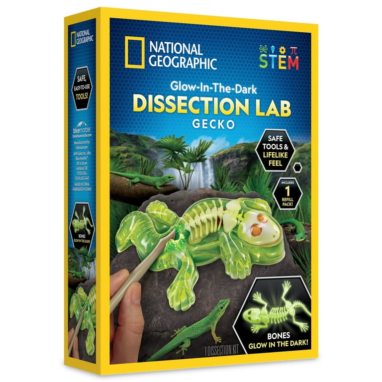 Blue Marble National Geographic Glow-in-the-Dark Gecko Dissection