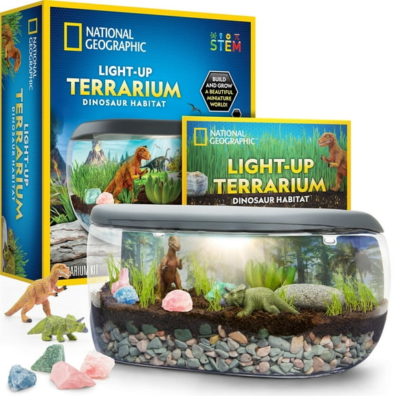 NATIONAL GEOGRAPHIC Light Up Dinosaur Terrarium Kit for Kids with Real Plants, Fossils & More, for Unisex Children (Age Group: 6 to 12 years)