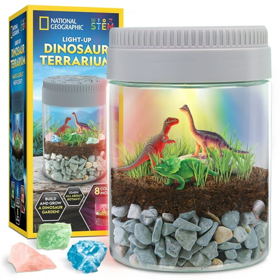 NATIONAL GEOGRAPHIC Multicolor LED Dinosaur Terrarium Kit for Kids with Real Plants & More