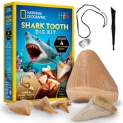 NATIONAL GEOGRAPHIC Shark Tooth Dig Kit &ndash; Excavate Replica Teeth Fossils from Ancient Sharks and Make a Shark-Tooth Necklace For Kids Age 4+