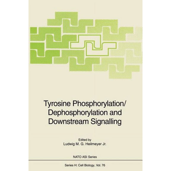 NATO Asi Subseries H: Tyrosine Phosphorylation/Dephosphorylation and Downstream Signalling, Book 76, (Paperback)