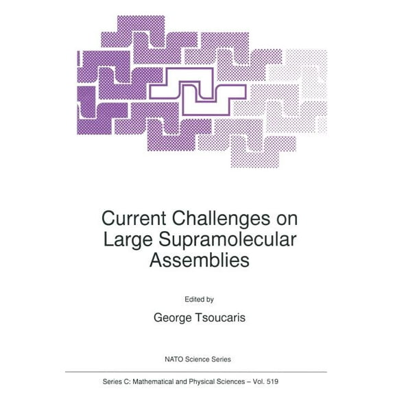 NATO Science Series C: Current Challenges on Large Supramolecular Assemblies, Book 519, (Paperback)