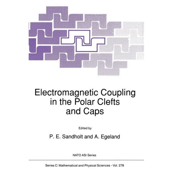 NATO Science Series C: Electromagnetic Coupling in the Polar Clefts and Caps, Book 278, (Paperback)
