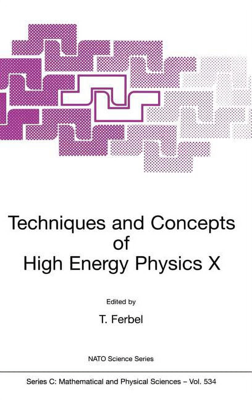 NATO Science Series C: Techniques and Concepts of High Energy Physics X ...