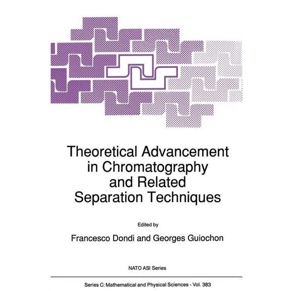 NATO Science Series C: Theoretical Advancement in Chromatography and Related Separation Techniques, Book 383, (Paperback)