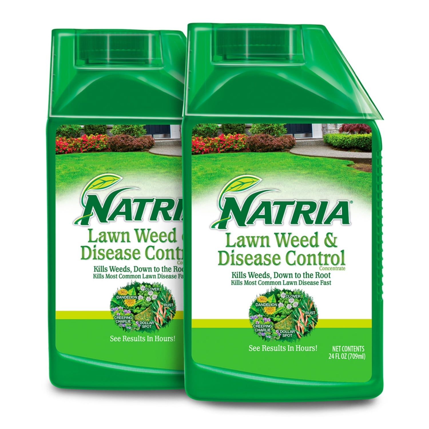 NATRIA Lawn Weed and Disease Control, Concentrate, 24 oz (2-Pack)