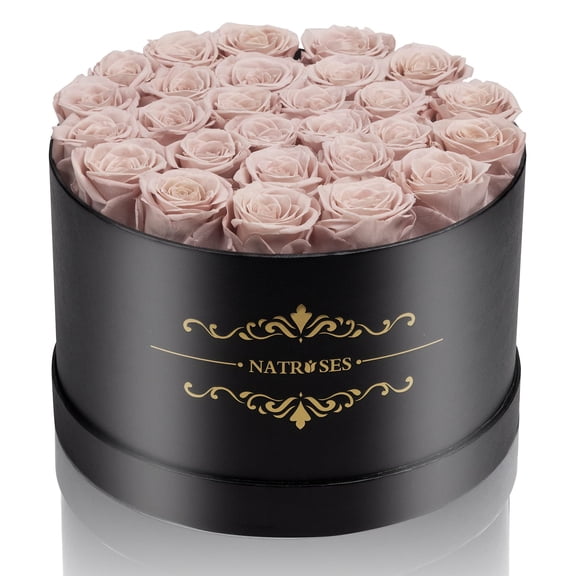 NATROSES Gifts for Her 27 Piece Forever Preserved Roses in a Box, Preserved Flowers for Delivery Birthday, Flowers Gifts for Mothers Day, Dusty Pink Y101