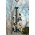 NATUBE9 15 8 Port Thistle Tube Finch feeder