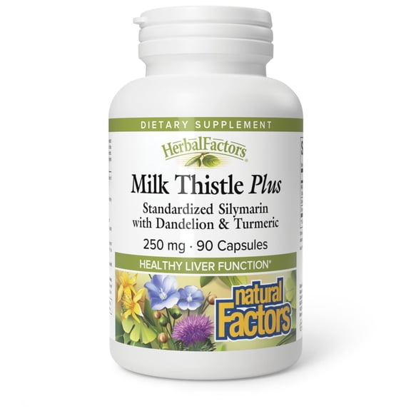 NATURAL FACTORS Milk Thistle Extract 250 Mg, 90 CT