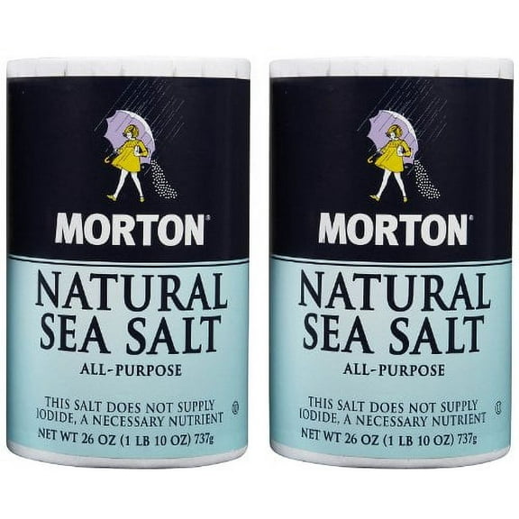 NATURAL SEA SALT MORTON CANISTER 26 OZ