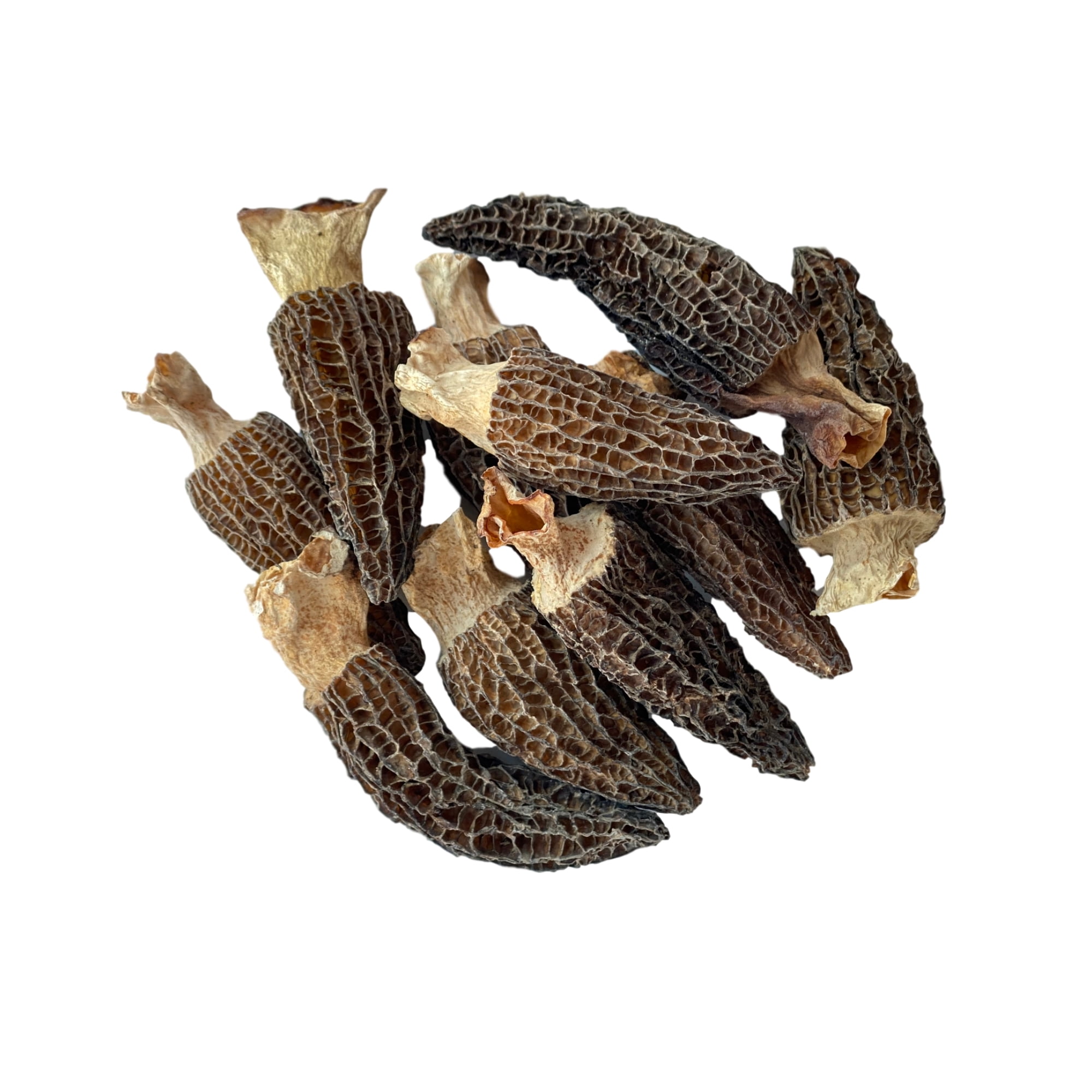 NATURAURA Dried Morel Mushrooms (Morchella Conica) Fresh Flavor