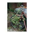 thumbnail image 1 of NATURE FINDS A WAY - Austin Texas Photography Bicycle Vintage Nature Botanical Rustic Surrealism Autumn Unframed Wall Art Print 20 x 28 inches, 1 of 1
