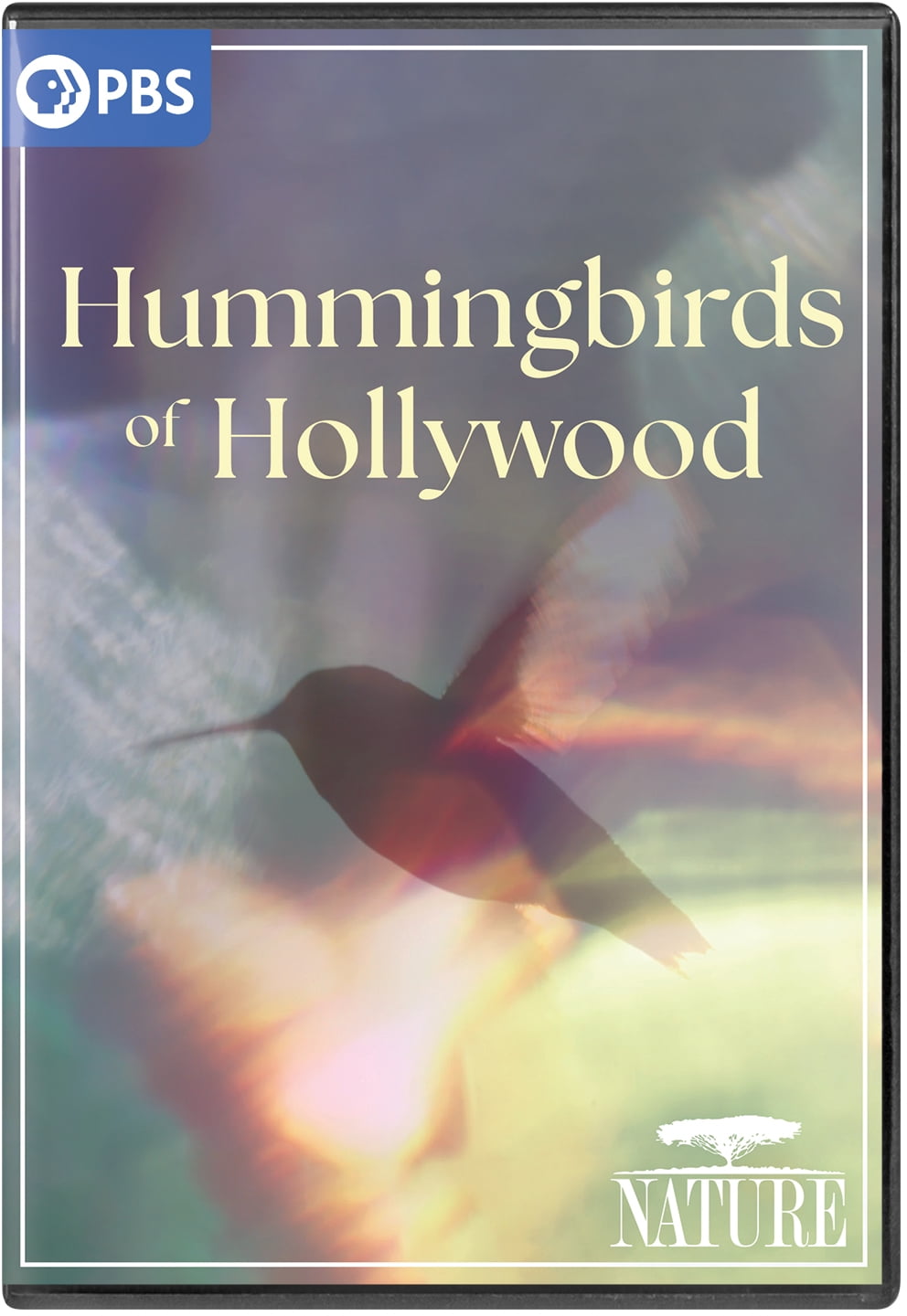 NATURE: Hummingbirds of Hollywood - Walmart.com