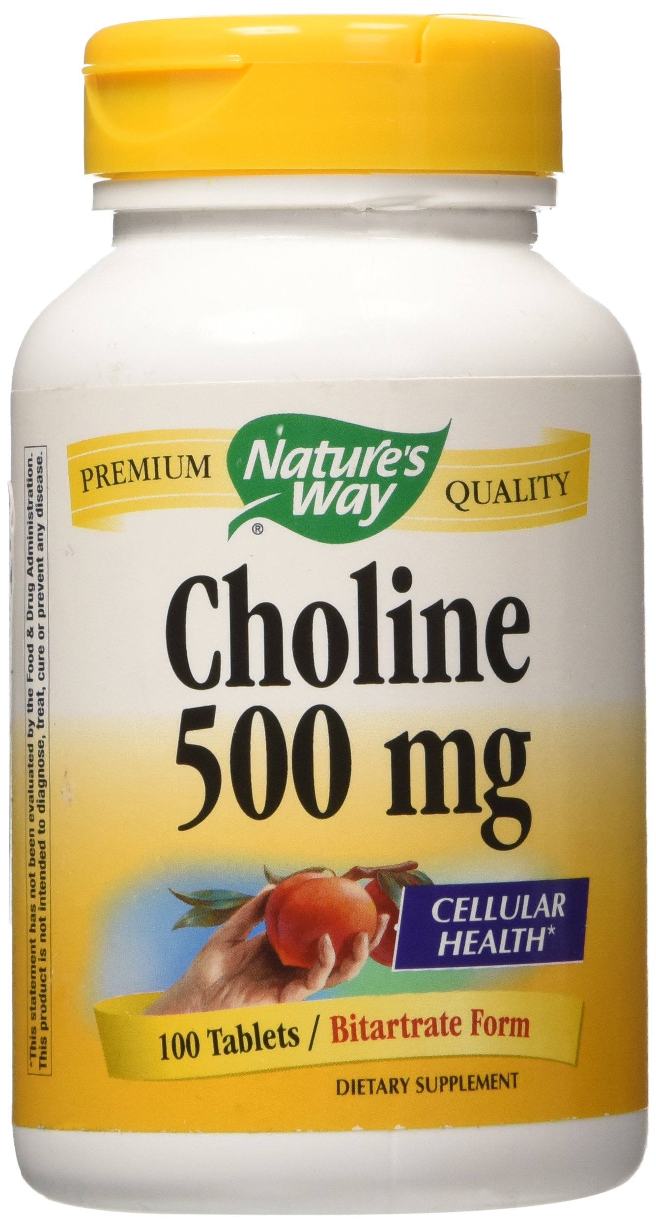 NATURE'S WAY Choline 500mg 100 Tablets
