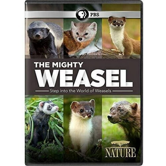 NATURE: The Mighty Weasel (DVD), PBS (Direct), Documentary