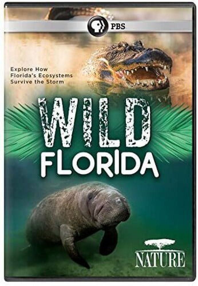 Amazon.com: Nature: Wild Florida : n/a, Rowan Crawford