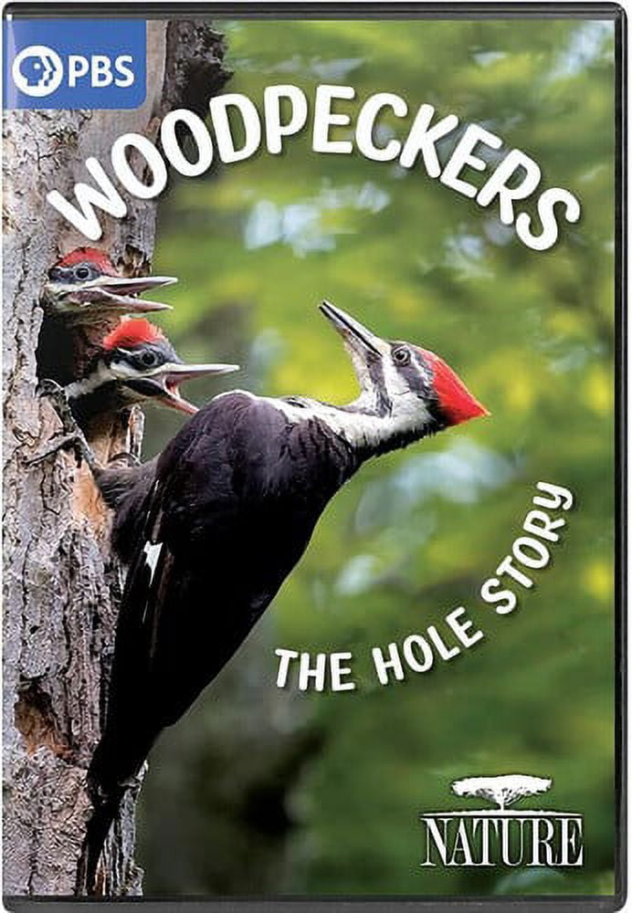 NATURE: Woodpeckers - The Hole Story (DVD), PBS (Direct
