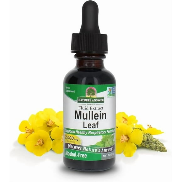 Nature's Answer Mullein Leaf Extract Alcohol-Free Herbal Lung Support Non-GMO, Made in USA Promotes Respiratory Health 1 fl oz