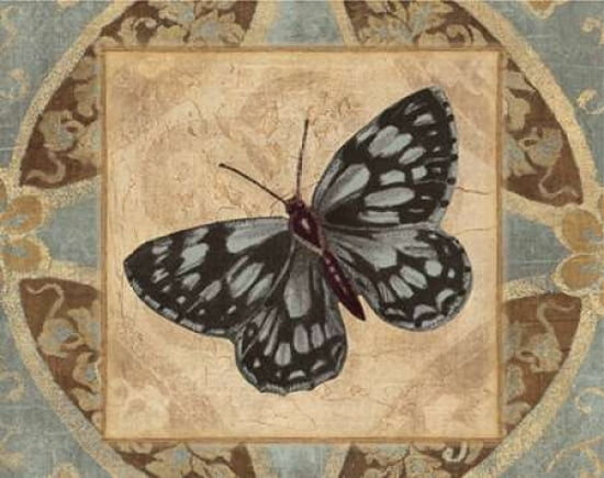 NATURES BUTTERFLY I Canvas Art - Piper Ballantyne (22 x 28)