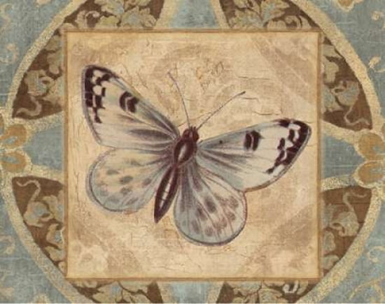 NATURES BUTTERFLY II Canvas Art - Piper Ballantyne (22 x 28)