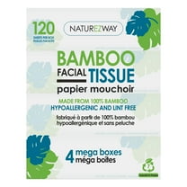 Bamboo Bamboo 2PLY Facial Tissue (4 Pack) | Eco-Friendly, Tree-Free, Ultra Soft, Sustainable, Planet-Based