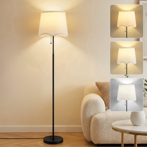 NATYSWAN Floor Lamps for Living Room and Bedroom, Standing Lamps with Pull Chain , 60" Adjustable Color Temperature, Modern for Bedroom, Office, Classroom.